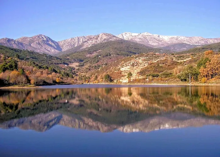 El Sueno De La Pintora
