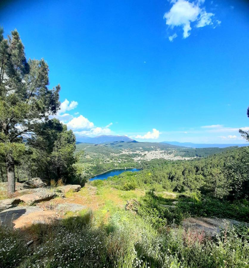 El Sueno De La Pintora