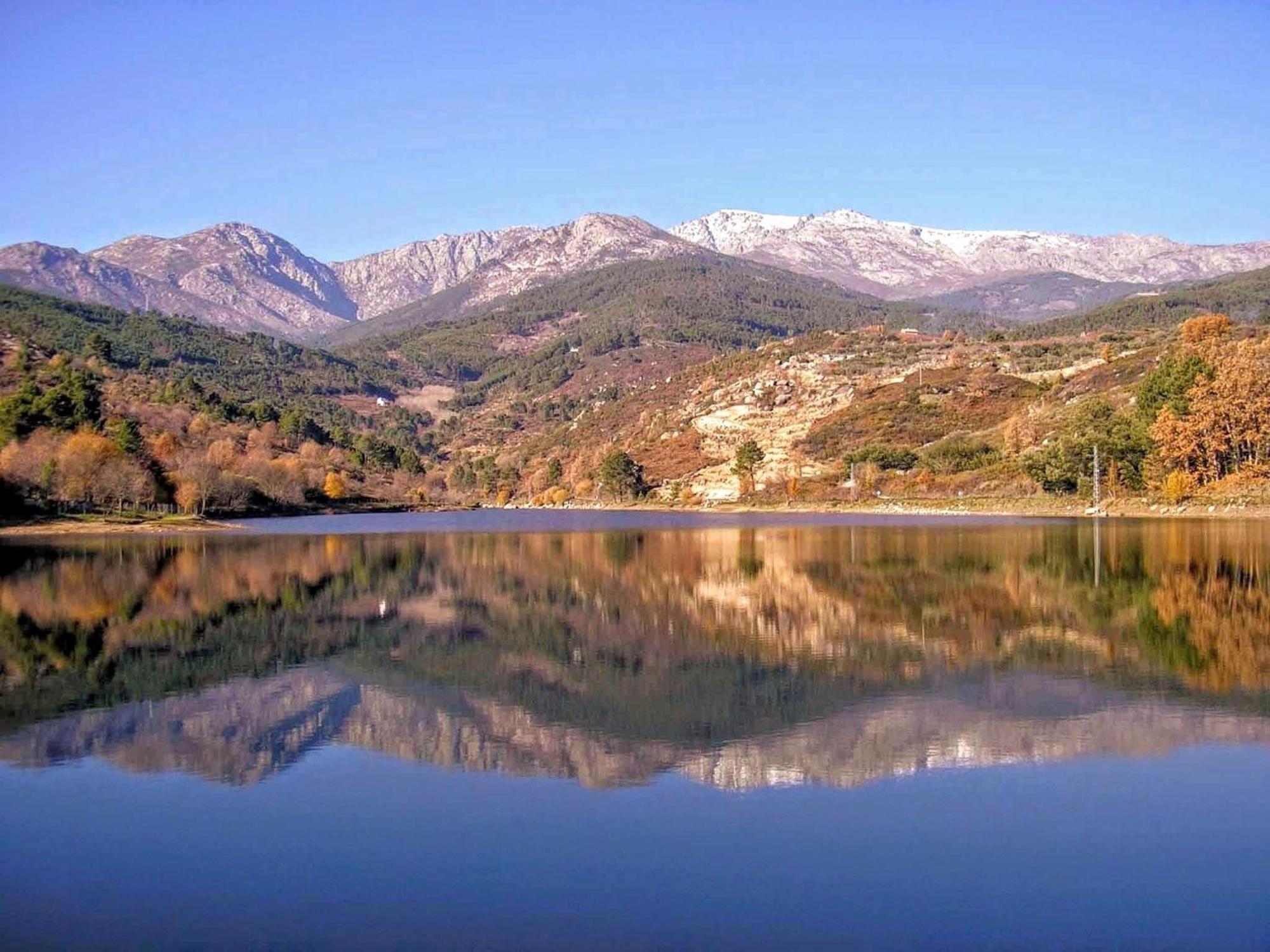 El Sueno De La Pintora